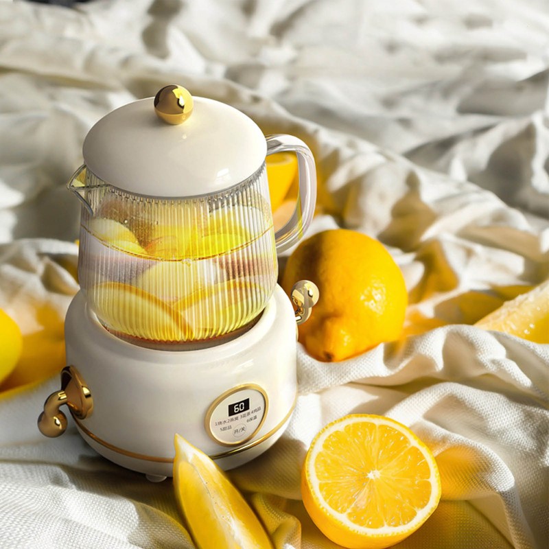 Health Pot Stainless Steel Glass Multifunctional Mini Electric Tea Maker