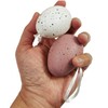 16 Pieces Of Easter Plain And Speckled Eggs With String