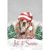 Cocker Spaniel Buff - Best of Breed - HHS Merry