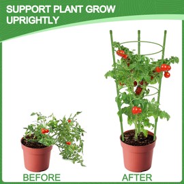 KLS 3 Pack Tomato Cage for Pots Tomato Plant Support, Collapsible 36 Inches Tomato Cages for Garden Trellis for Climbing Plants, Pepper Cage Tomato Trellis Kit with Plant Tie Tomato Clips (36")