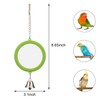 Hypeety Pet Bird Mirror with Bell Interactive Parrot Toy Bird