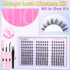 ALICE Manga Lash Clusters Kit Natural Wispy Cluster Eyelash Extension