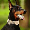 Cotton Dog Collar with Bowtie, Comfortable Adjustable Cute Lapel Design