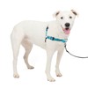 PetSafe Deluxe Easy Walk Dog Harness, Dog Harness for Medium-Size