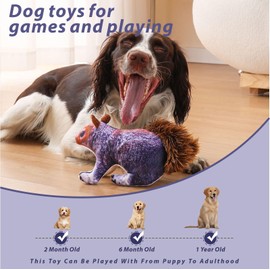 YFHOME Dog Toy Squeaky Squirrel, Stuffed Fabric Interactive Dog Toy with Plush Tail, Indoor/Outdoor/Park Entertainment and Play, Suitable Gifts for Large,Medium and Small-Sized Pet Dogs (Purple)