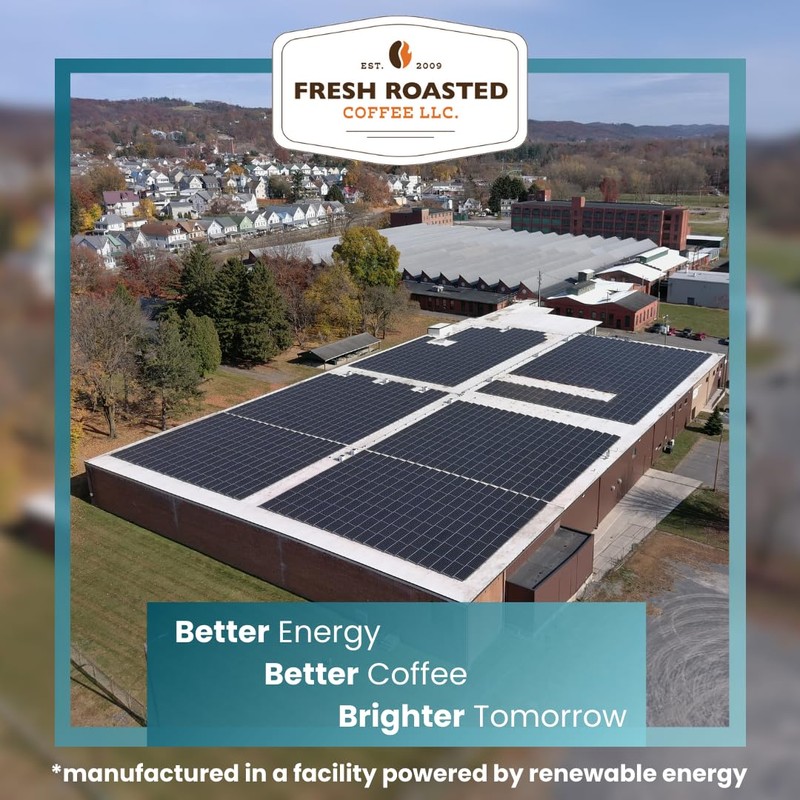 Fresh Roasted Coffee, Organic Frostbite Cold Brew | Mold &