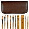 1610 Professional Watercolor Paint Brushes,Biaelk 10PCS Variety Brushes for Beginners