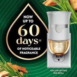 Air Wick Botanica - Aceite perfumado enchufable, 10 recambios, pasto dulce caribeño y sándalo, ambientador, respetuoso con el medio ambiente, aceites esenciales, 10 unidades