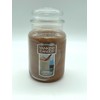 Yankee Candle CINNAMON VANILLA Large Jar 22 oz Candle Rare