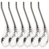 Gadpiparty Set of 6 Caviar Slotted Spoons Spherification Tools Kitchen
