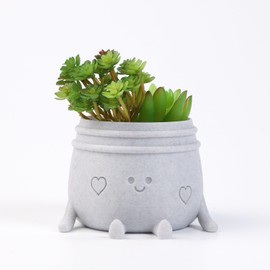 EcoBioPrint 3.5 Inch Decorative Plant Pot- Modern Indoor Funny Face Flower Pot for Cactus, Air Plants, Aloe Vera - Plant Gifts for Plant Lovers Teacher Appreciation Christmas