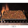 DOJA Barcelona | ENAMELED Iron Can for Snails or Square
