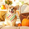 Shinylin 48 Pieces Fall Dog Bandanas Bulk Colorful Autumn Bandanas