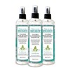 Migabi 미가비 위치하젤 에센셜 티트리 300ml x 3개 Mikabi Witch Hazel Essential Tea Tree 300ml x 3 units