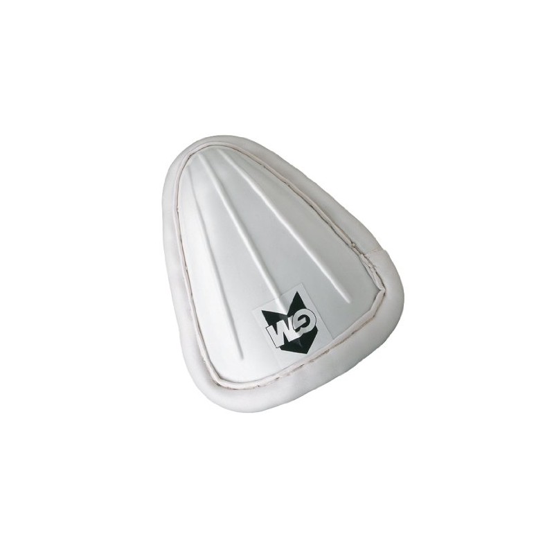 GM | Cricket | Padded Box Abdo Guard | Strong