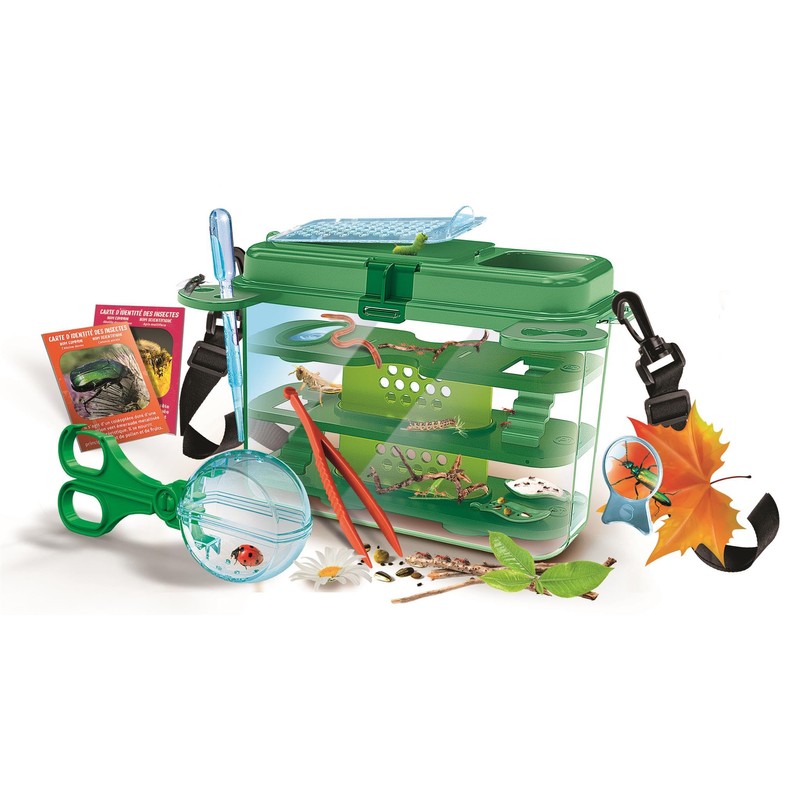 The House of Insects