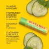 Burt's Bees Kit Freshly Picked Lip Balm 4 unidades