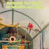 1 Piece Budgie Swing, Bird Toy for Budgies, Natural Perch