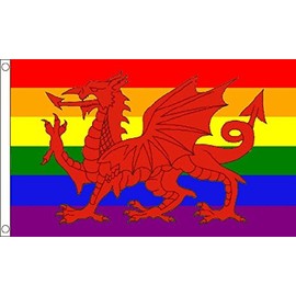 Rainbow Welsh Dragon Flag 5ft x 3ft