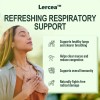 Crema Pulmonar Transparente De 2 Piezas Para Mejorar La Salu