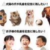 UNiELEMENT Baby Teeth Case, For Kids, Dogs, Cats, Pets, Baby