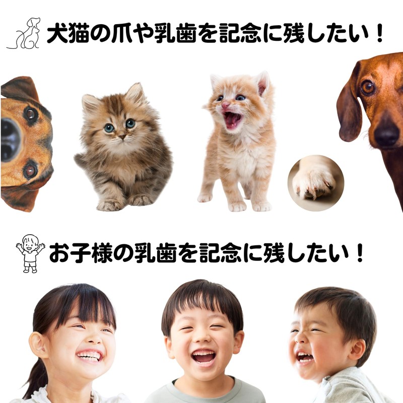 UNiELEMENT Baby Teeth Case, For Kids, Dogs, Cats, Pets, Baby