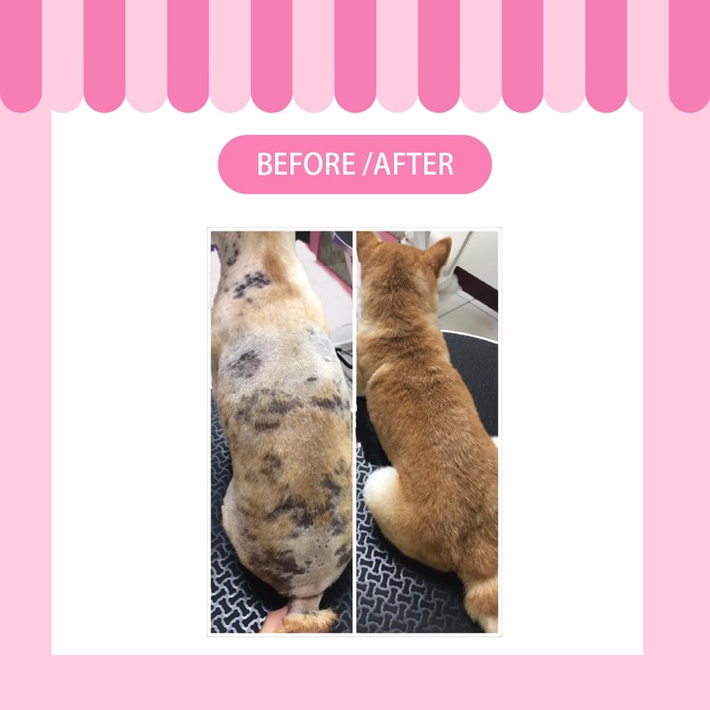 A.P.D.C. Moisture Mist 4.2 fl oz (125 ml)