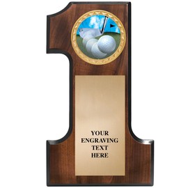 Crown Awards Hole in One Plaque - 7x12 Golf Club Plaque with Engraved Plate