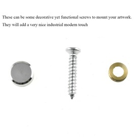 Hahiyo 10mm Diameter Mirror Screws Brushed Stainless Steel Solid Easy Install Brass Washer Decorative Caps Fasteners Nails 10 Pairs for Bathroom Mirrors Panels Kitchen Ceiling Arts Crafts
