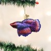 Old World Christmas Ornaments: Fish Collection Glass Blown Ornaments for