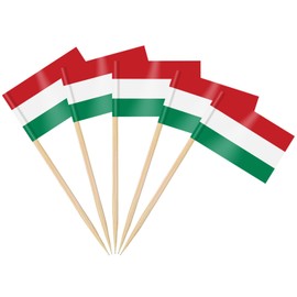 AhfuLife 100pcs Hungary Toothpick Flags, Hungary Cocktail Stick Flag for National Day Sandwich Food Cupcake Toppers Tableware World Cup Party Supplies Pub Royal Event Decor (Hungary, 200 Pcs)