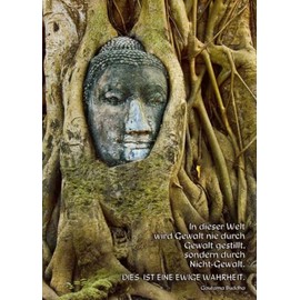 Tushita Postcard Spiritual: The Buddha and the Tree