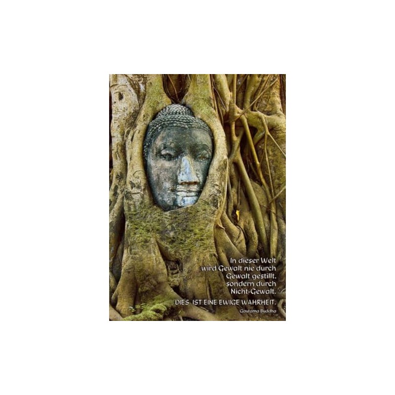 Tushita Postcard Spiritual: The Buddha and the Tree