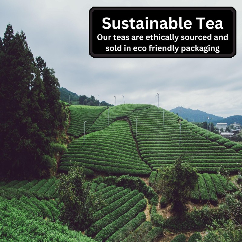 Premium Tea Selection, 3 Loose Leaf Teas, Camellios (3 Flavours,
