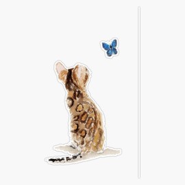 Bengal Cat & Butterfly Bumper Sticker Vinyl Decal 5"