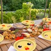 50 PCS Chicken Birthday Decorations Chicken Theme Paper Plates Farm