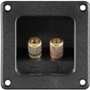 cablepelado Set of 2 Square Speaker Terminals