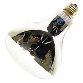 Westinghouse R40 Infrared Clear/Red Heat Lamp 125 W (03918)