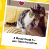 Temptations MixUps Crunchy and Soft Cat Treats Surfer's Delight Flavor,
