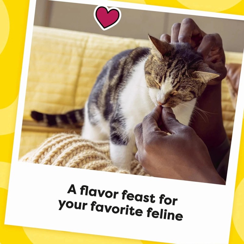 Temptations MixUps Crunchy and Soft Cat Treats Surfer's Delight Flavor,