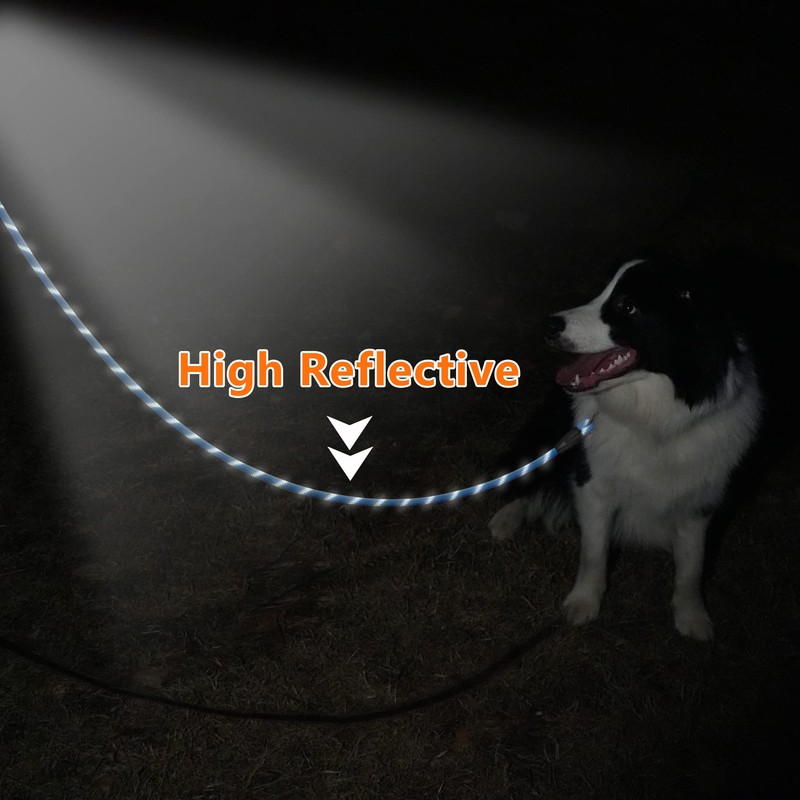 NTR Long Leash for Dogs, 100FT Check Cord with Swivel