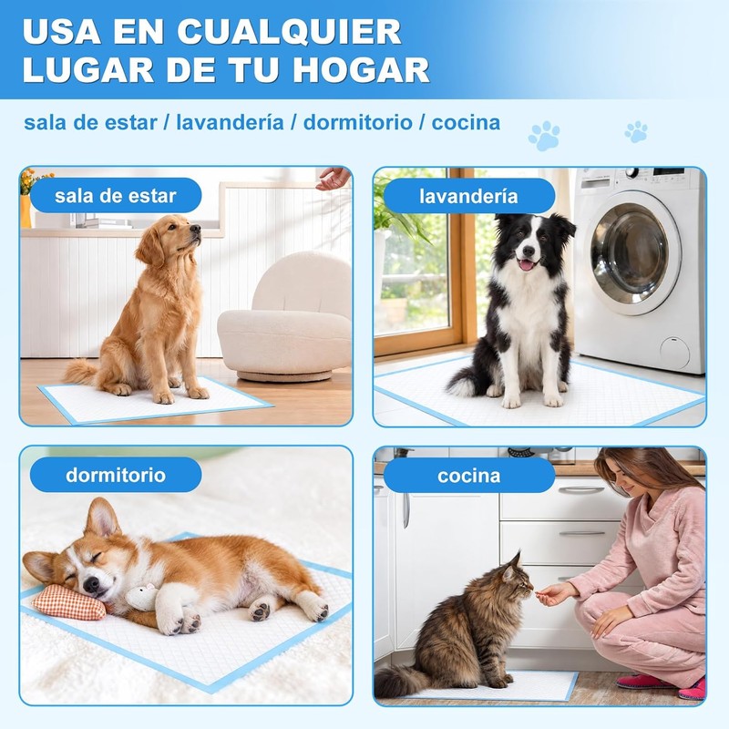 Pañales para Perro 40P, Tapetes Entrenadores 60x60cm, 6 Capas Antifugas