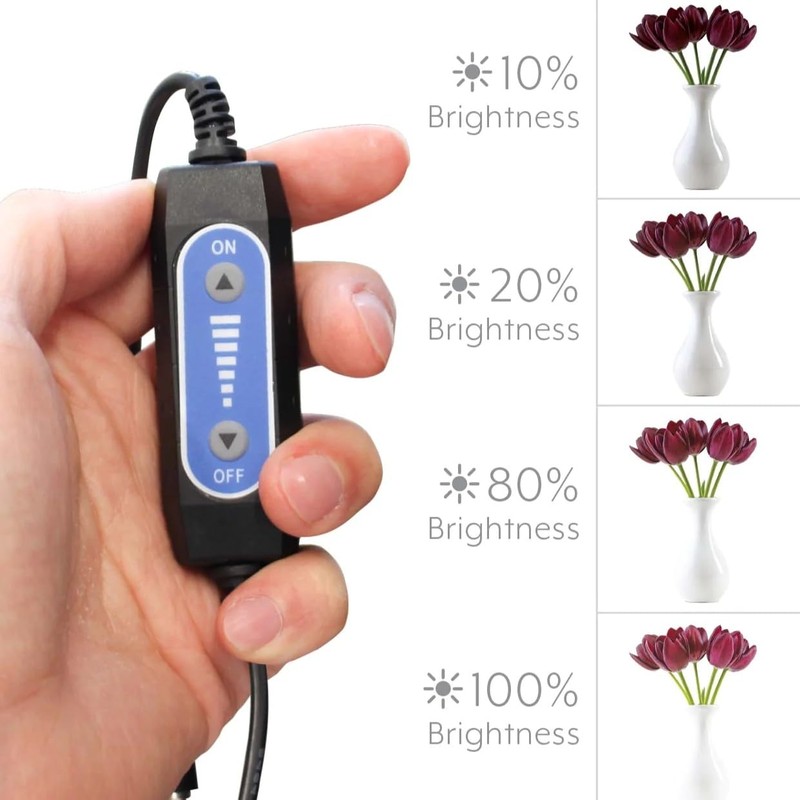 Bower Portable 24" Studio Light Box for Smartphones, DSLRs &