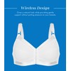 Bestform womens Cotton Wirefree Bra Front Closure, White, 38D US