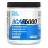 이볼루션 BCAA 5000 무향 300g Evolutions BCAA 5000 Unscented 300g