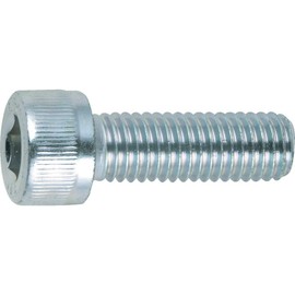 TRUSCO B730-0618 Hexagon Socket Socket Bolts, Trivalent Chromate, White, All Screws M6X18, 20 Pieces