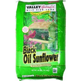 Valley Splendor Black Oil Sunflower Seeds, 40 lbs