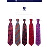 HISDERN TA5-01S Business Necktie, Square Set, 5 Pieces, Stylish, Gift