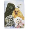 Best Friends Playing Cards, by Ruth Maystead - Poodle
