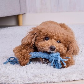 ADD. Mate Dog Toy, Denim Dental Rope, SS